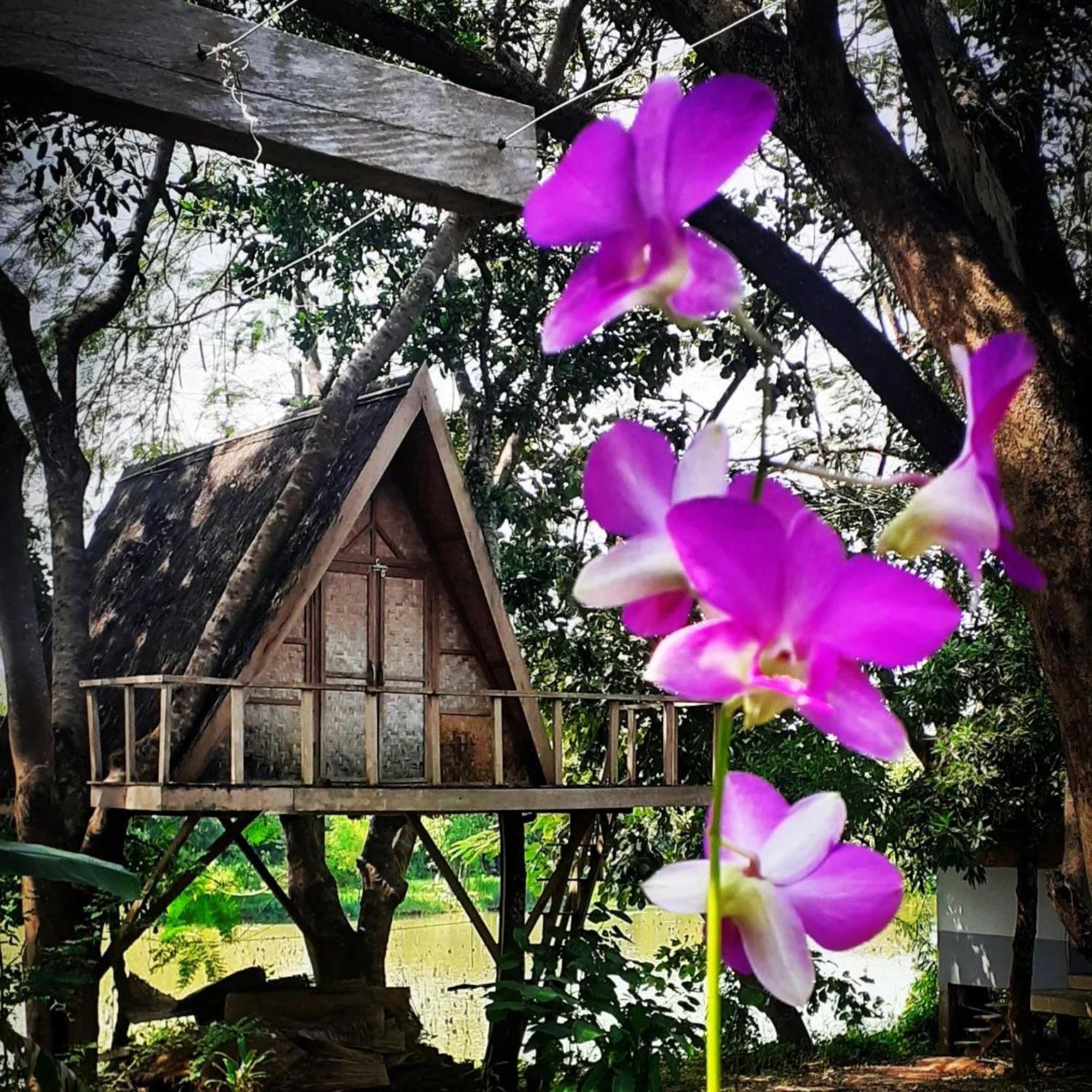Fandee Island Treehouses & Ziplines - Tad Lo, Bolaven Loop Pakse Ban Kiangtat Exterior photo